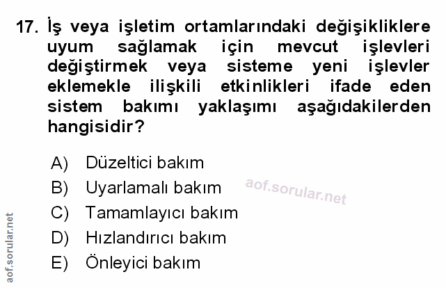 Soru 17