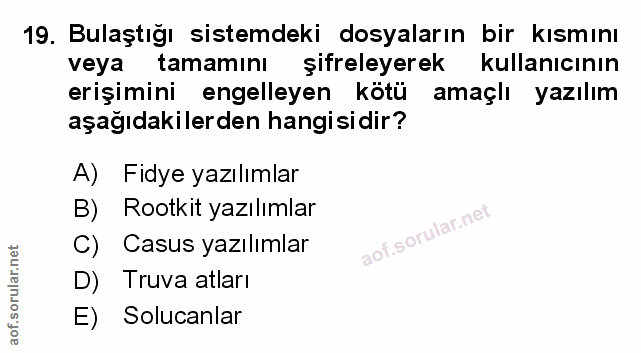 Soru 19