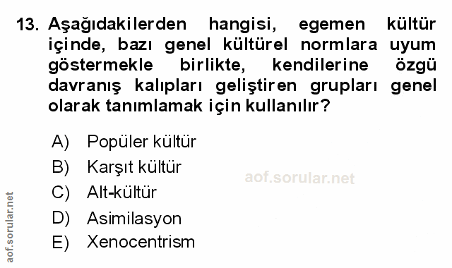 Soru 13