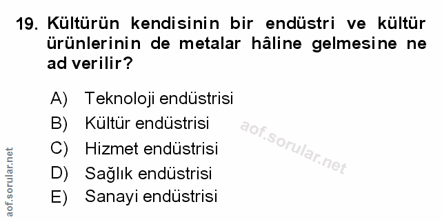 Soru 19