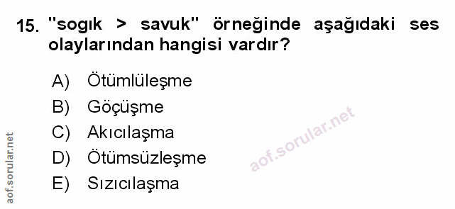 Soru 15