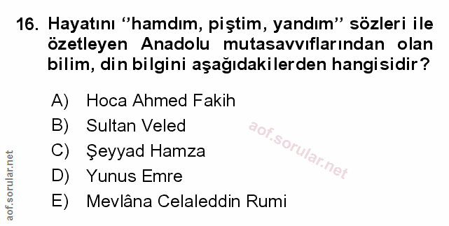 Soru 16