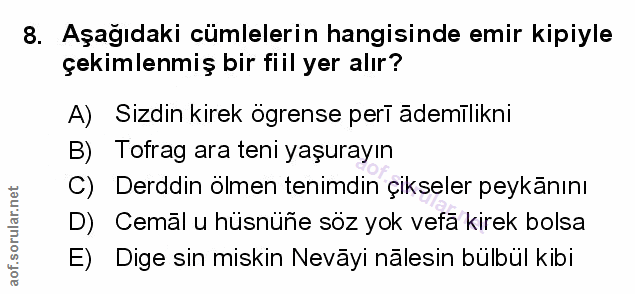 Soru 8