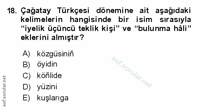 Soru 18