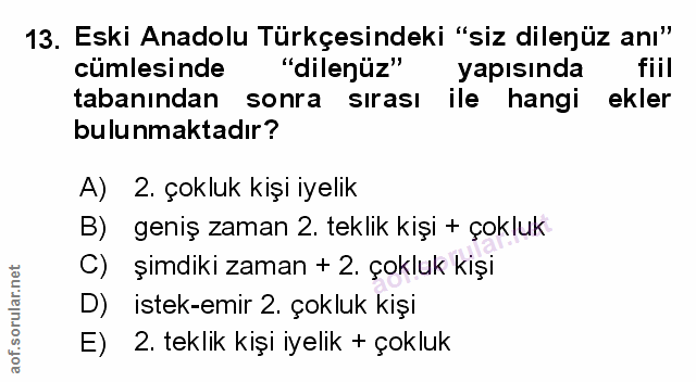 Soru 13