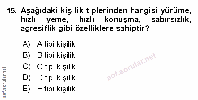 Soru 15