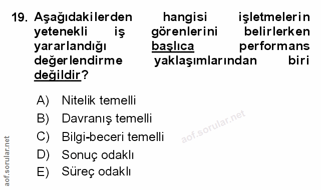 Soru 19