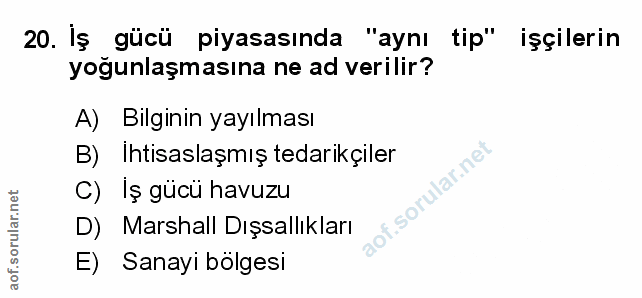 Soru 20