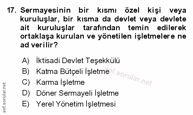 Soru 17