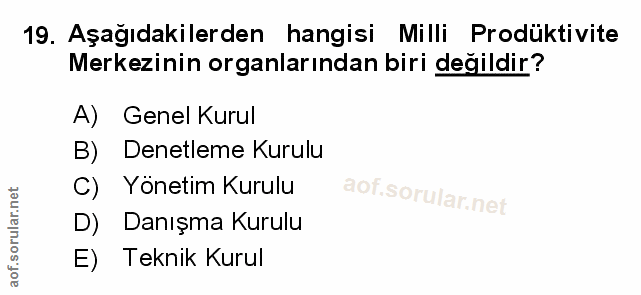 Soru 19