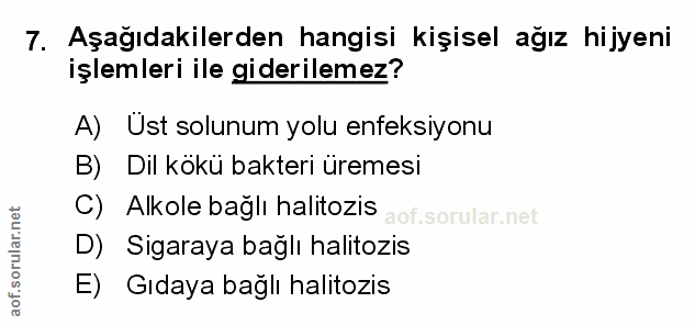 Soru 7