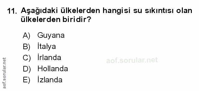 Soru 11