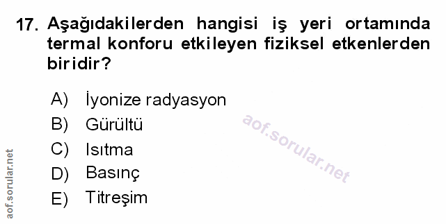 Soru 17
