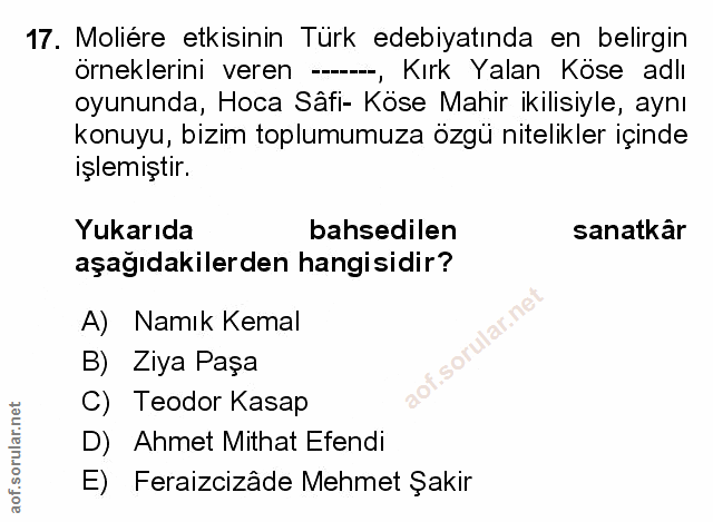 Soru 17