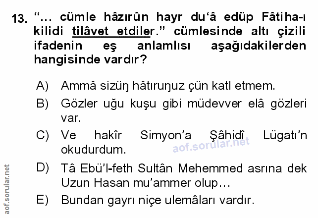Soru 13