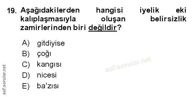 Soru 19