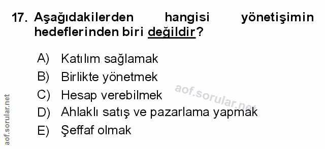 Soru 17