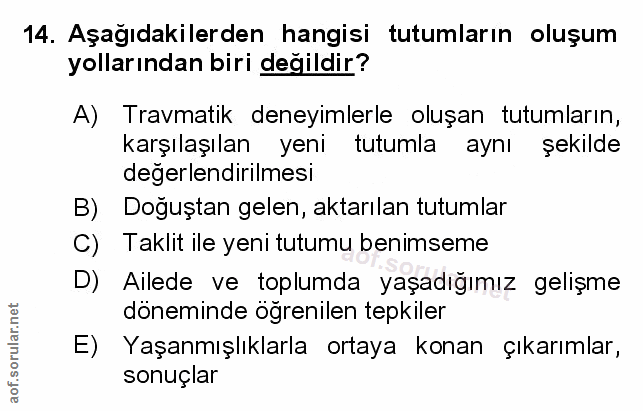 Soru 14