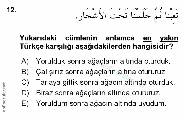 Soru 12
