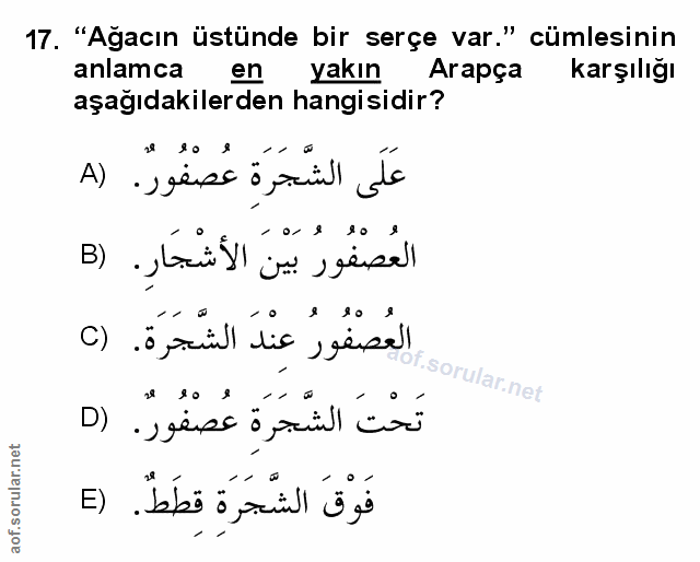 Soru 17