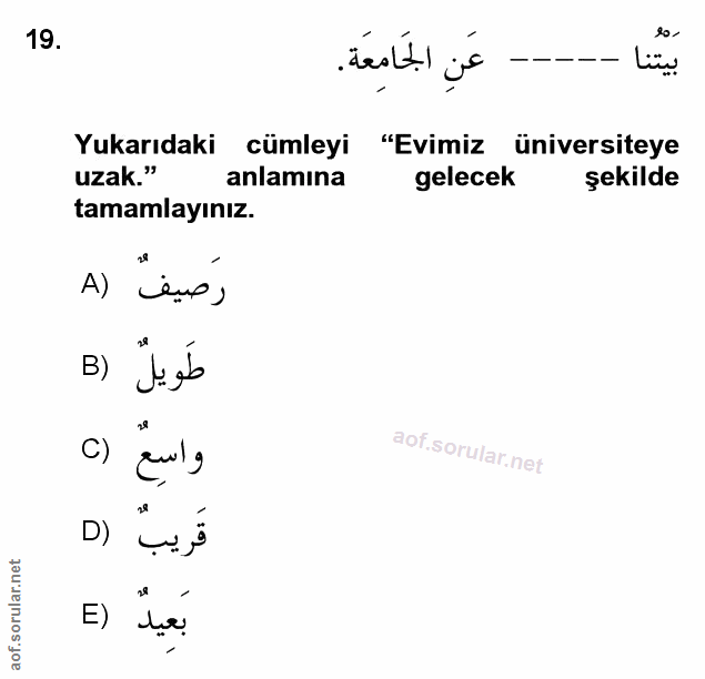 Soru 19