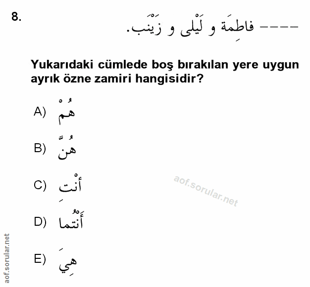 Soru 8
