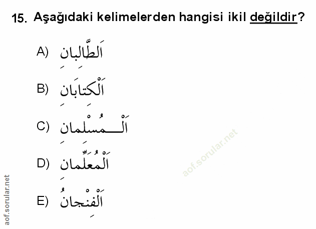 Soru 15