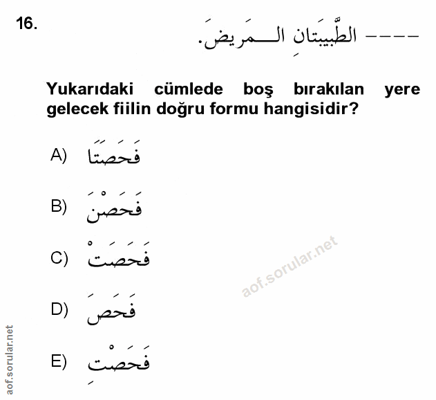 Soru 16