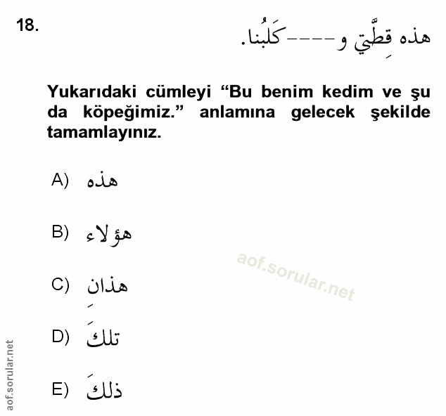 Soru 18