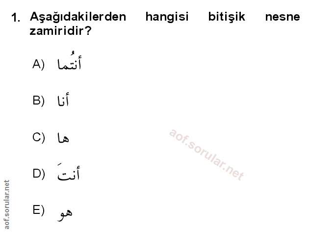 Soru 1