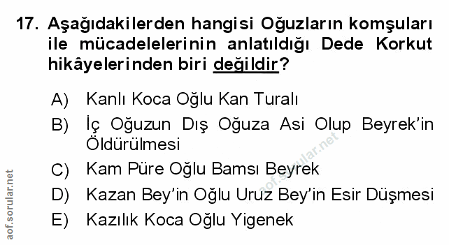 Soru 17