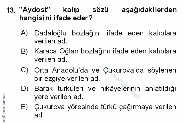 Soru 13