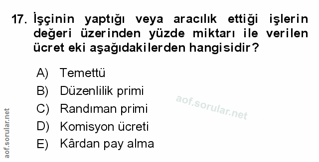 Soru 17