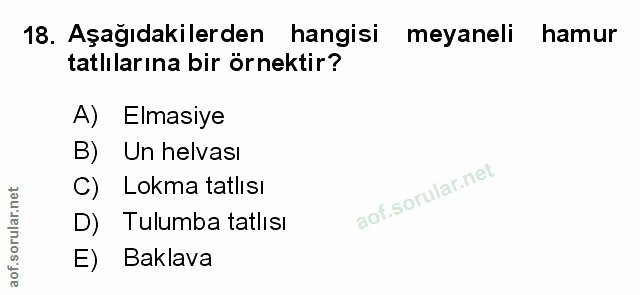 Soru 18