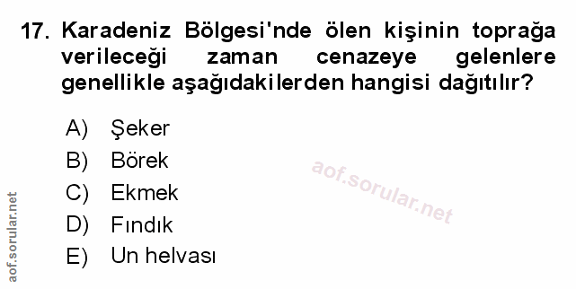 Soru 17