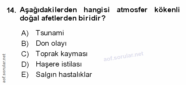 Soru 14