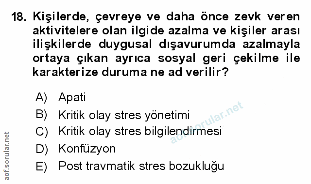 Soru 18