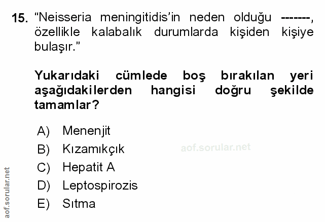 Soru 15