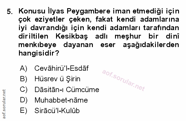 Soru 5