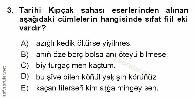 Soru 3