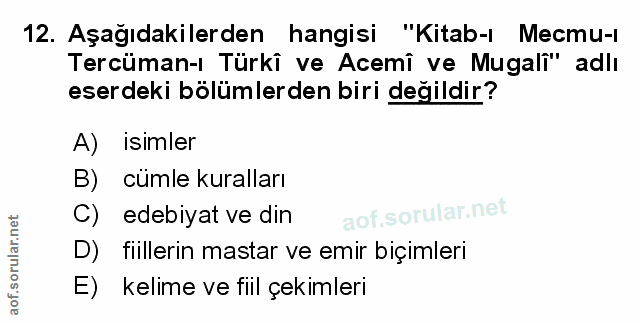 Soru 12