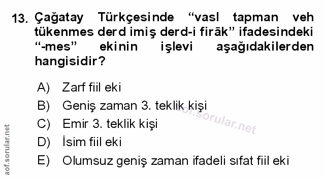 Soru 13