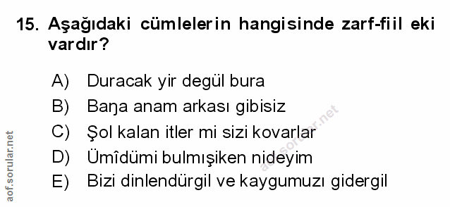 Soru 15