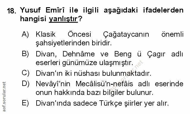 Soru 18