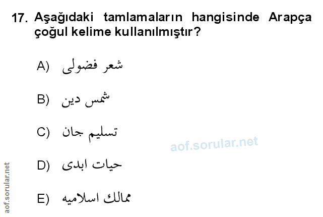 Soru 17