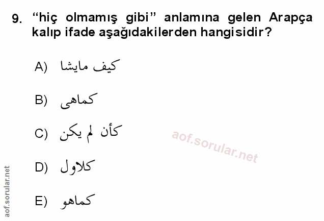 Soru 9