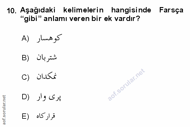 Soru 10