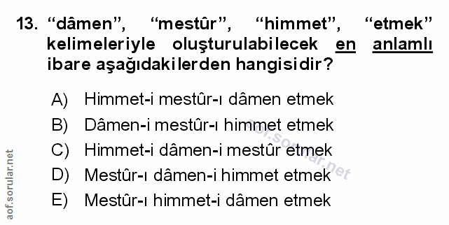 Soru 13