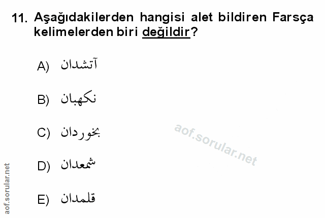 Soru 11