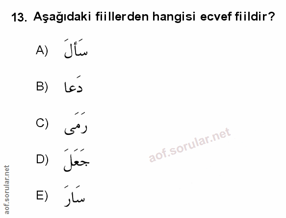 Soru 13